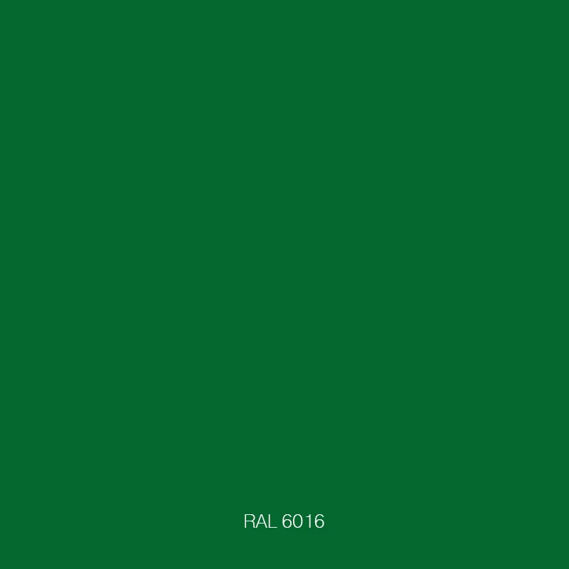 RAL 6016